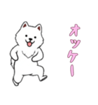 [オッケー専用]サモエド（個別スタンプ：5）