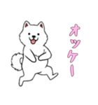 [オッケー専用]サモエド（個別スタンプ：7）