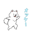 [オッケー専用]サモエド（個別スタンプ：8）