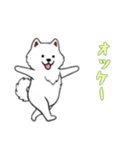 [オッケー専用]サモエド（個別スタンプ：9）