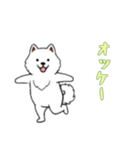 [オッケー専用]サモエド（個別スタンプ：13）