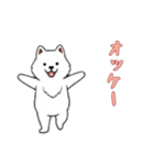 [オッケー専用]サモエド（個別スタンプ：14）