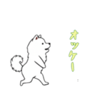 [オッケー専用]サモエド（個別スタンプ：15）