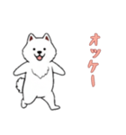[オッケー専用]サモエド（個別スタンプ：16）