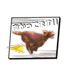 毎日アイリッシュセッターまみれ！（個別スタンプ：15）
