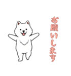 [お願いします専用]サモエド（個別スタンプ：3）