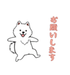 [お願いします専用]サモエド（個別スタンプ：5）