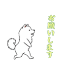 [お願いします専用]サモエド（個別スタンプ：7）