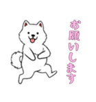 [お願いします専用]サモエド（個別スタンプ：9）