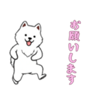 [お願いします専用]サモエド（個別スタンプ：10）