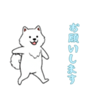 [お願いします専用]サモエド（個別スタンプ：11）