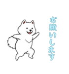 [お願いします専用]サモエド（個別スタンプ：14）