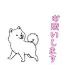 [お願いします専用]サモエド（個別スタンプ：15）