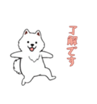 [了解です専用]サモエド（個別スタンプ：2）