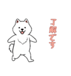 [了解です専用]サモエド（個別スタンプ：6）