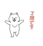 [了解です専用]サモエド（個別スタンプ：8）