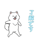 [了解です専用]サモエド（個別スタンプ：10）