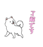 [了解です専用]サモエド（個別スタンプ：11）