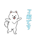 [了解です専用]サモエド（個別スタンプ：12）
