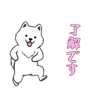 [了解です専用]サモエド（個別スタンプ：13）
