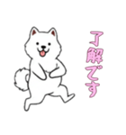 [了解です専用]サモエド（個別スタンプ：15）