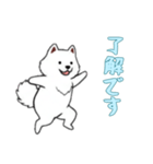 [了解です専用]サモエド（個別スタンプ：16）