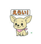チワちゃん日記♡（個別スタンプ：3）