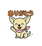 チワちゃん日記♡（個別スタンプ：4）