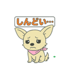 チワちゃん日記♡（個別スタンプ：5）