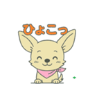 チワちゃん日記♡（個別スタンプ：6）