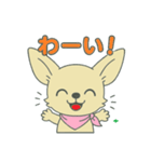 チワちゃん日記♡（個別スタンプ：10）