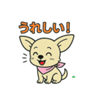 チワちゃん日記♡（個別スタンプ：11）