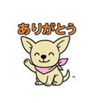チワちゃん日記♡（個別スタンプ：20）