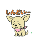 チワちゃん日記♡（個別スタンプ：22）