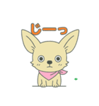 チワちゃん日記♡（個別スタンプ：31）