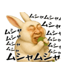 ウザウサギのウザい煽り返信(毎日凄い便利)（個別スタンプ：37）