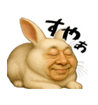 ウザウサギのウザい煽り返信(毎日凄い便利)（個別スタンプ：39）