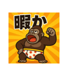 博多弁おパンツゴリラくん（個別スタンプ：19）