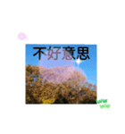 ほっこり公園日和 - 季節の挨拶集 台湾語（個別スタンプ：6）