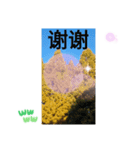 ほっこり公園日和 - 季節の挨拶集 台湾語（個別スタンプ：8）