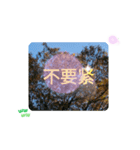 ほっこり公園日和 - 季節の挨拶集 台湾語（個別スタンプ：17）