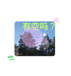 ほっこり公園日和 - 季節の挨拶集 台湾語（個別スタンプ：18）