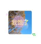 ほっこり公園日和 - 季節の挨拶集 台湾語（個別スタンプ：20）