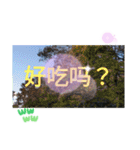 ほっこり公園日和 - 季節の挨拶集 台湾語（個別スタンプ：22）