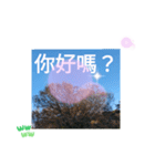 ほっこり公園日和 - 季節の挨拶集 台湾語（個別スタンプ：24）