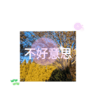 ほっこり公園日和 - 季節の挨拶集 台湾語（個別スタンプ：25）