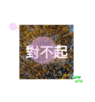 ほっこり公園日和 - 季節の挨拶集 台湾語（個別スタンプ：26）