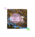 ほっこり公園日和 - 季節の挨拶集 台湾語（個別スタンプ：28）