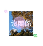 ほっこり公園日和 - 季節の挨拶集 台湾語（個別スタンプ：30）