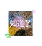 ほっこり公園日和 - 季節の挨拶集 台湾語（個別スタンプ：31）